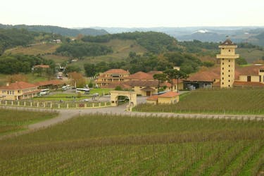 Gran Reserva wijntour met proeverij